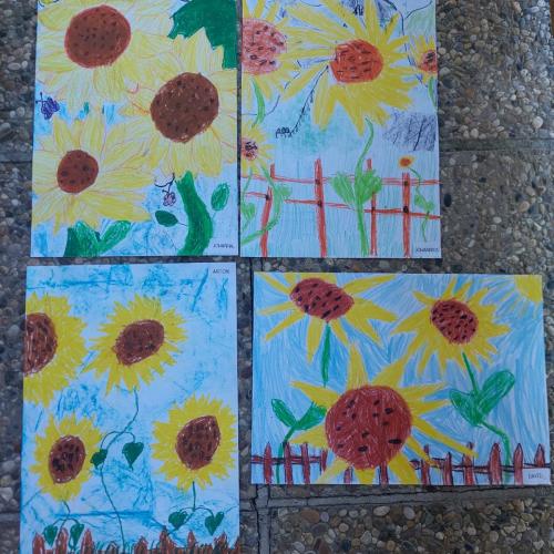 4 Sonnenblumen