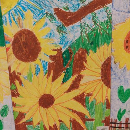 solo sonnenblume