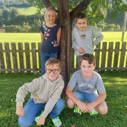 3. Schulstufe