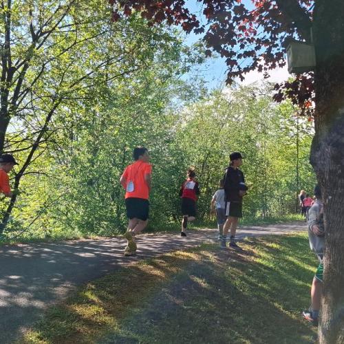 Lauf 4